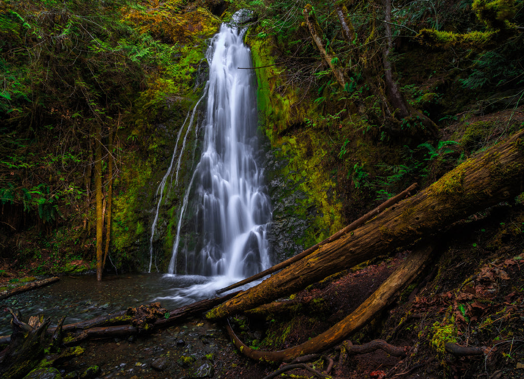 Madison Falls in Elwha River Valley, Olympic National Park, Washington