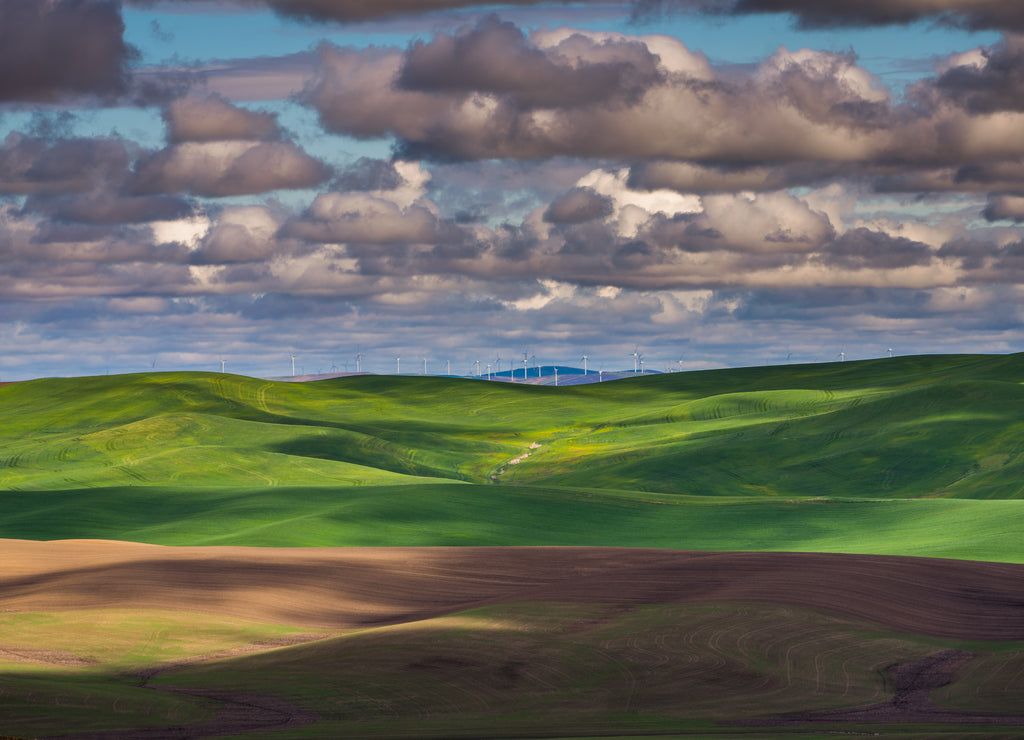 Amazing clouds over plowed fields, an incredible drawing of the earth. Kamiak Butte State Park, Whitman County, Washington, USA