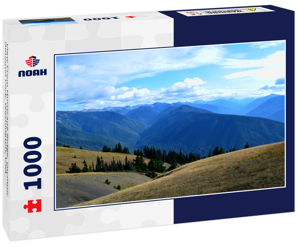 View From Hurricane RIdge, Olympic National Park, Washington, USA