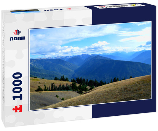 View From Hurricane RIdge, Olympic National Park, Washington, USA