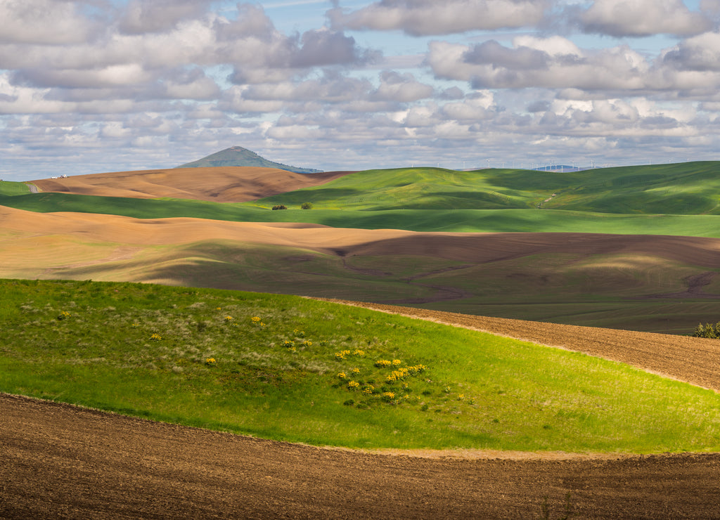 Amazing clouds over plowed fields, an incredible drawing of the earth. Kamiak Butte State Park, Whitman County, Washington, USA