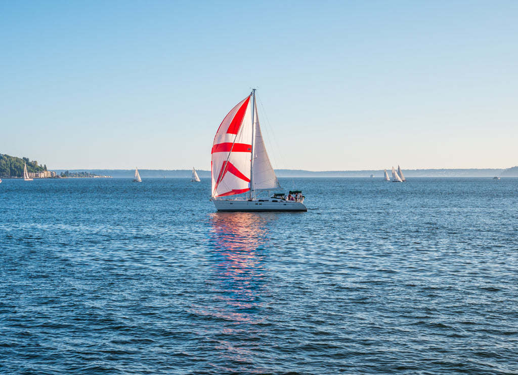 Incredible yacht show. Olympic Sculpture Park, Seattle, Washington