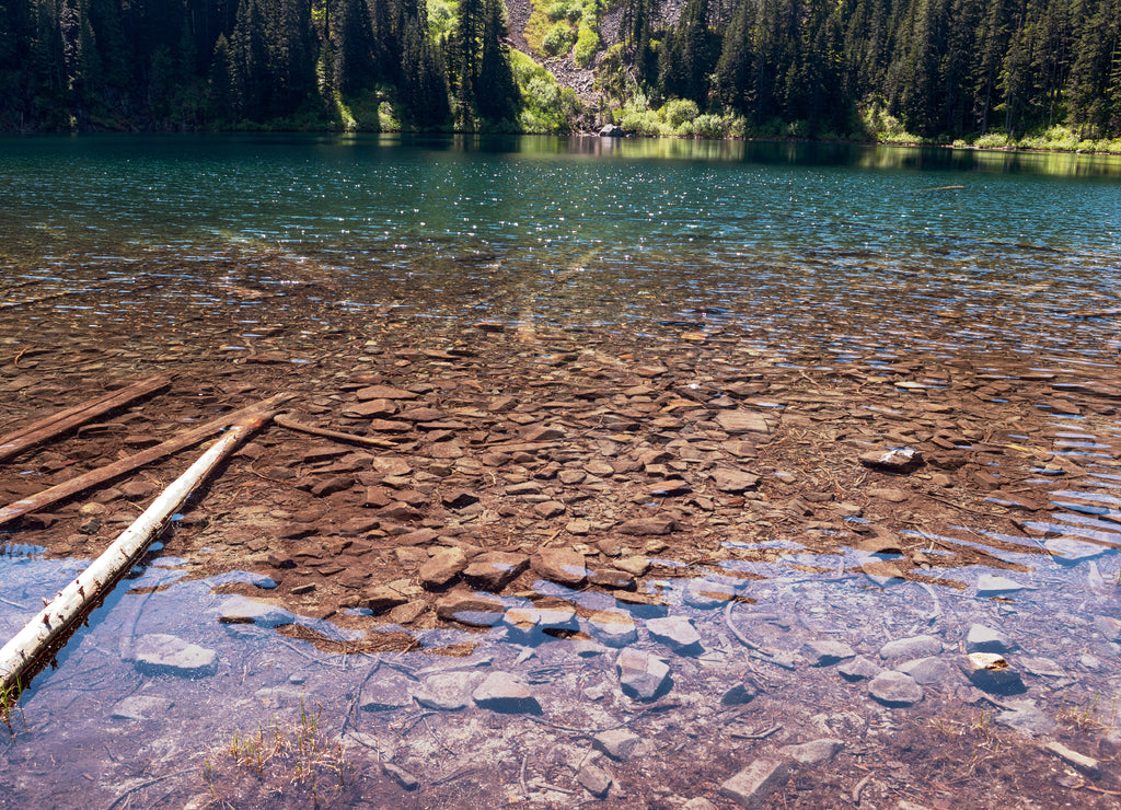 Annette Lake with snags in the water near North Bend, Washington, USA