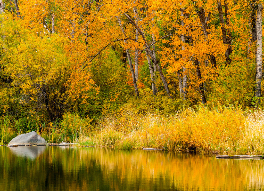 Autumn at Tims Pond in Washington state