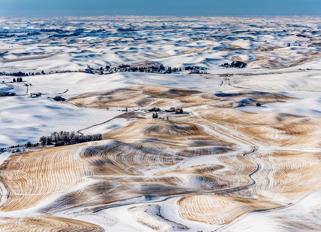 Snow Covered Farmland In The Rolling Hills Of The Palouse From Steptoe Butte, Washington