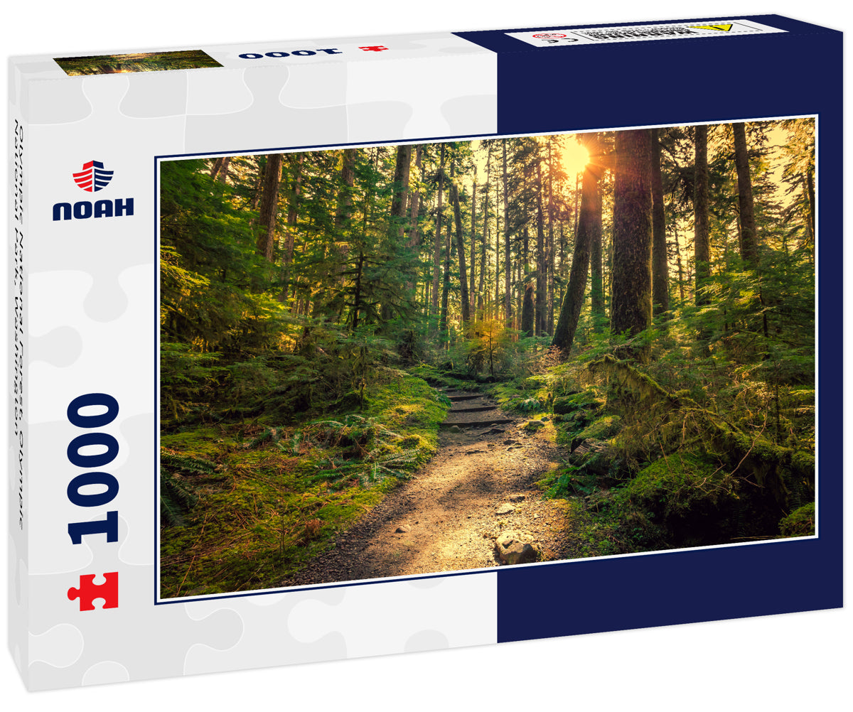 Olympic National Forest, Olympic National Park, Washington