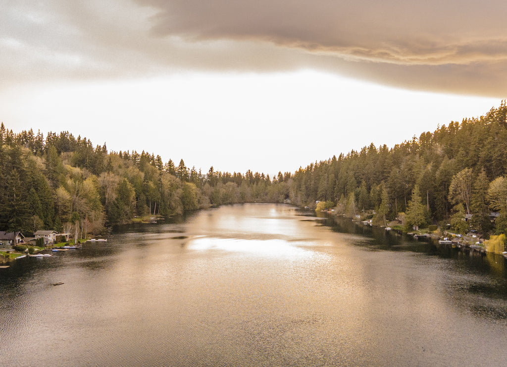 Scenic view of a calm lake surrounded by thick forest in Bellingham, Washington, USA