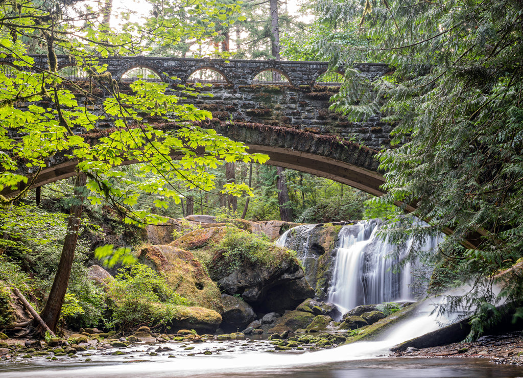 Whatcom Falls Park, Bellingham Washington