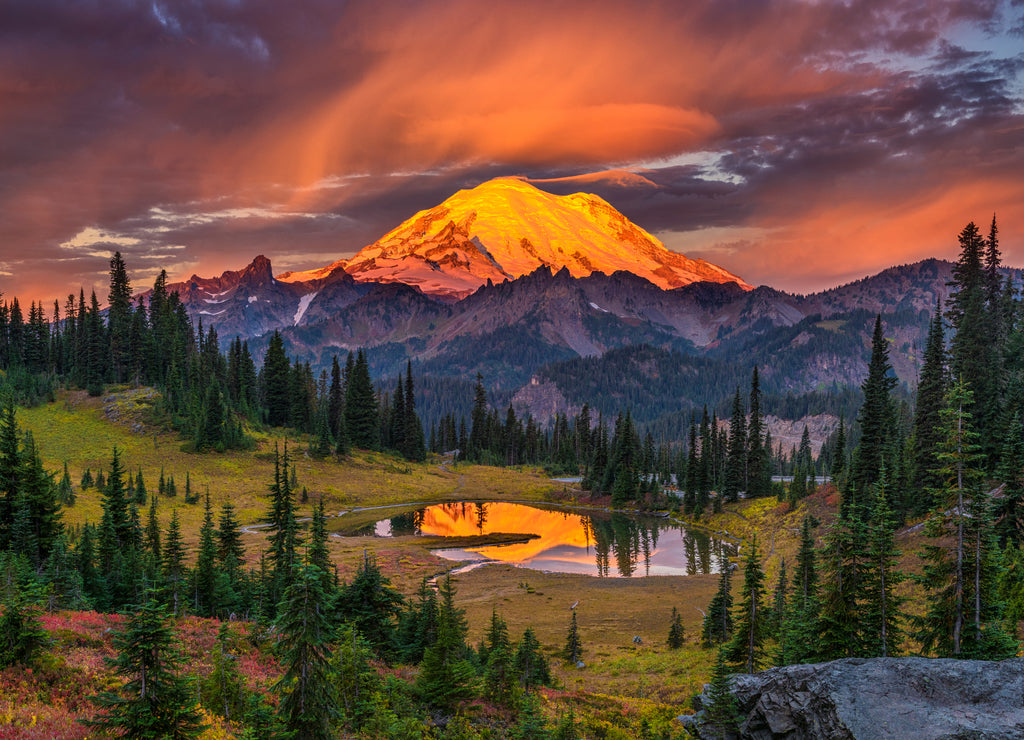 USA, Washington State, Mt. Rainier National Park at sunrise