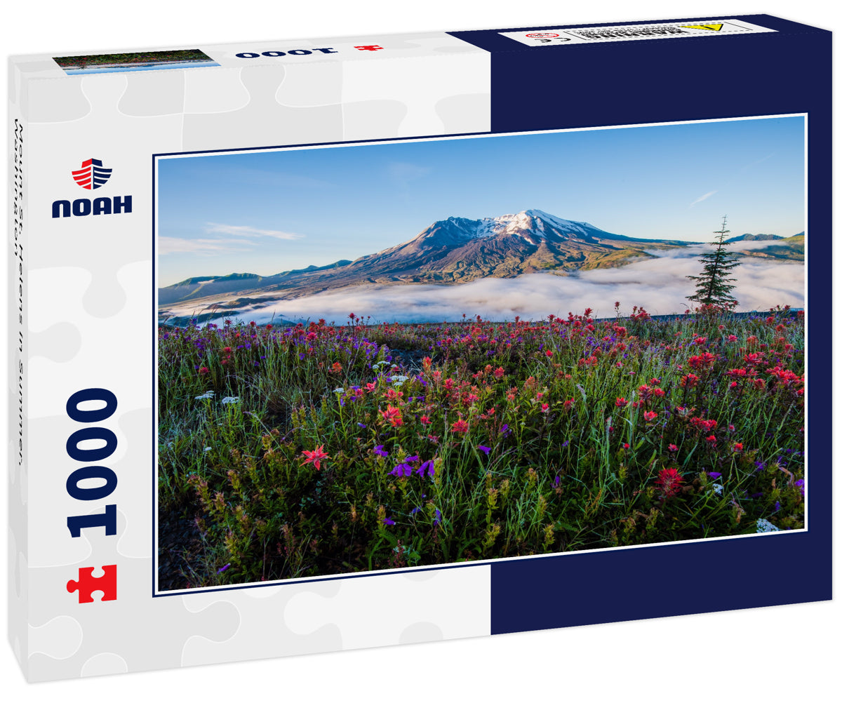 Mount St. Helens in Summer, Washington