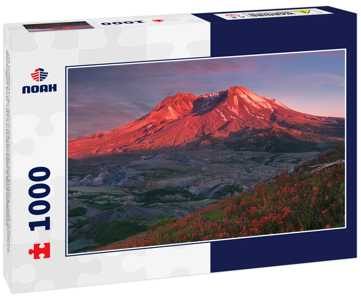 The breathtaking views of the volcano and amazing valley of flowers. Harry's Ridge Trail. Mount St Helens National Park, South Cascades in Washington State, USA A mountain slope is filled wildflowers