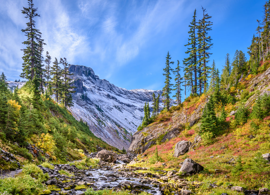 Beautiful Mountain River at the Bagley Lake Trail Park. Mount Baker, Washington, USA