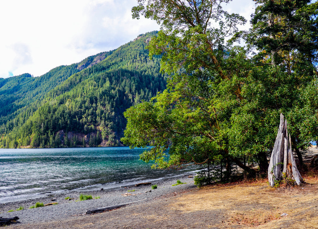 Lake Crescent at Olympic National Park, Washington, USA