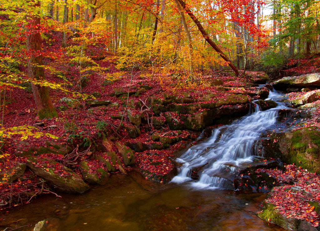 beautiful little waterfall in Autumn with vibrate colors on the Gunpowder river, Maryland