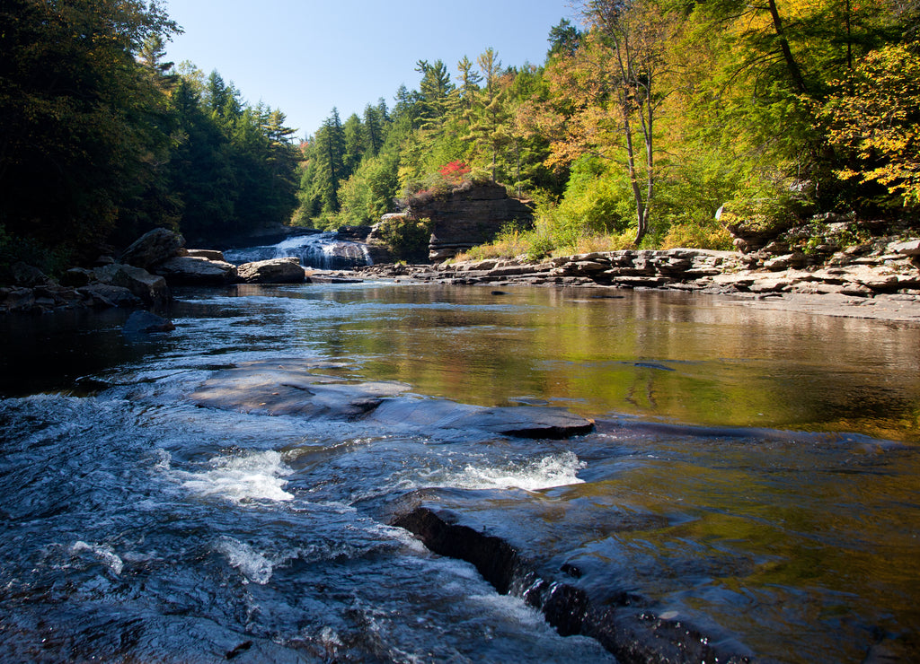Swallow Falls Maryland