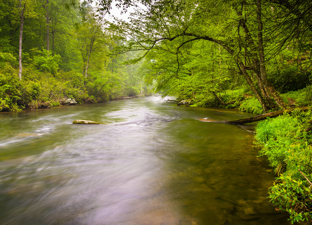 The Gunpowder River near Prettyboy Reservoir in Baltimore County, Maryland