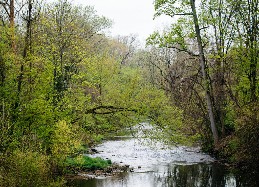 Jones Falls, at Lake Roland Park, in Baltimore, Maryland