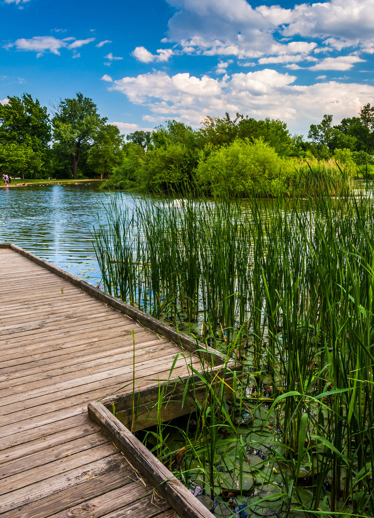 Boardwalk trail along the pond at Patterson Park, Baltimore, Maryland