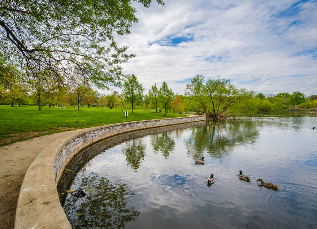 Pond at Patterson Park, in Baltimore, Maryland