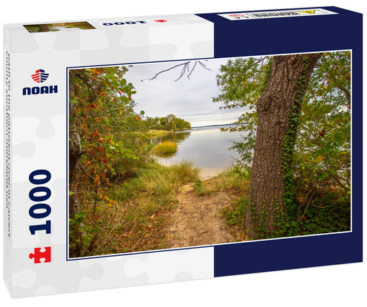 path to the patuxent river in calvert county southern maryland usa