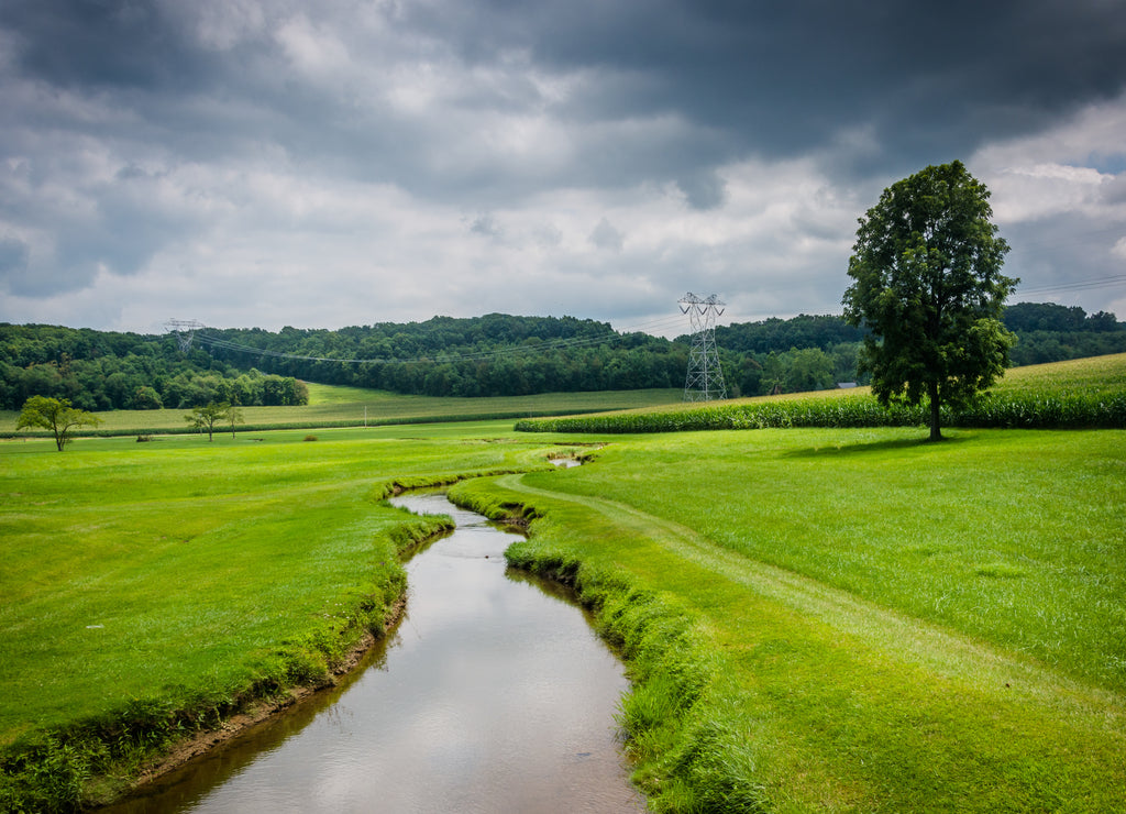 Small stream in a farm field in rural Carroll County, Maryland