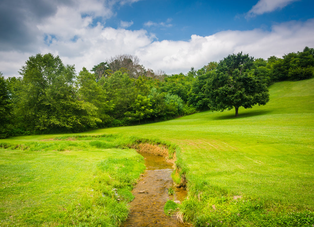 Small creek and field in rural Carroll County, Maryland