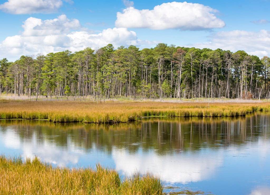 Blackwater National Wildlife Refuge in Dorchester County, Maryland