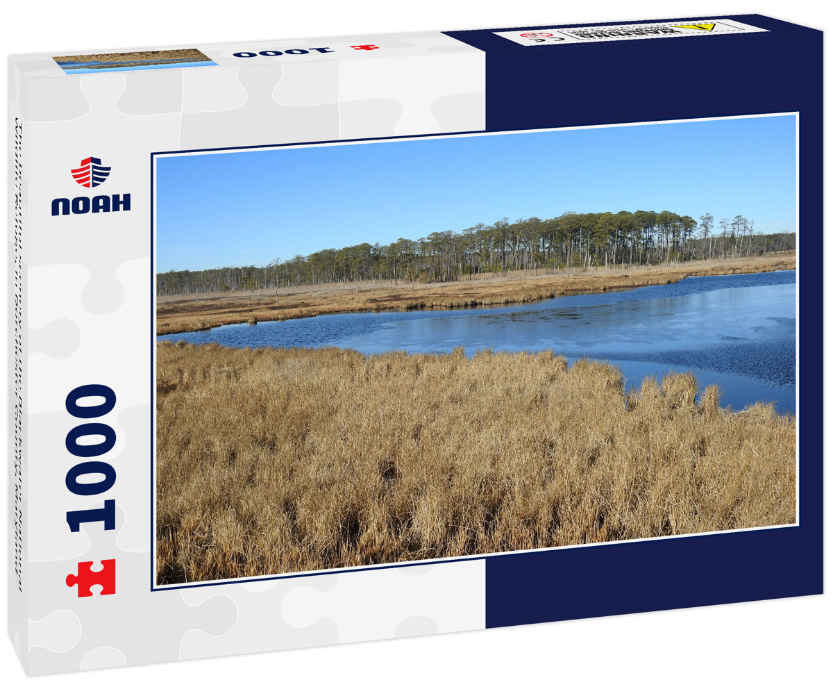 The beautiful scenery of the Blackwater National Wildlife Refuge, in Dorchester County, Maryland