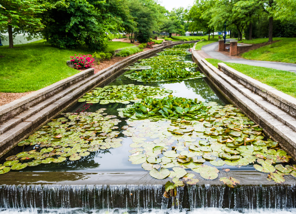 Carroll Creek in Frederick, Maryland city park with canal and fountain waterfall and flowers in summer