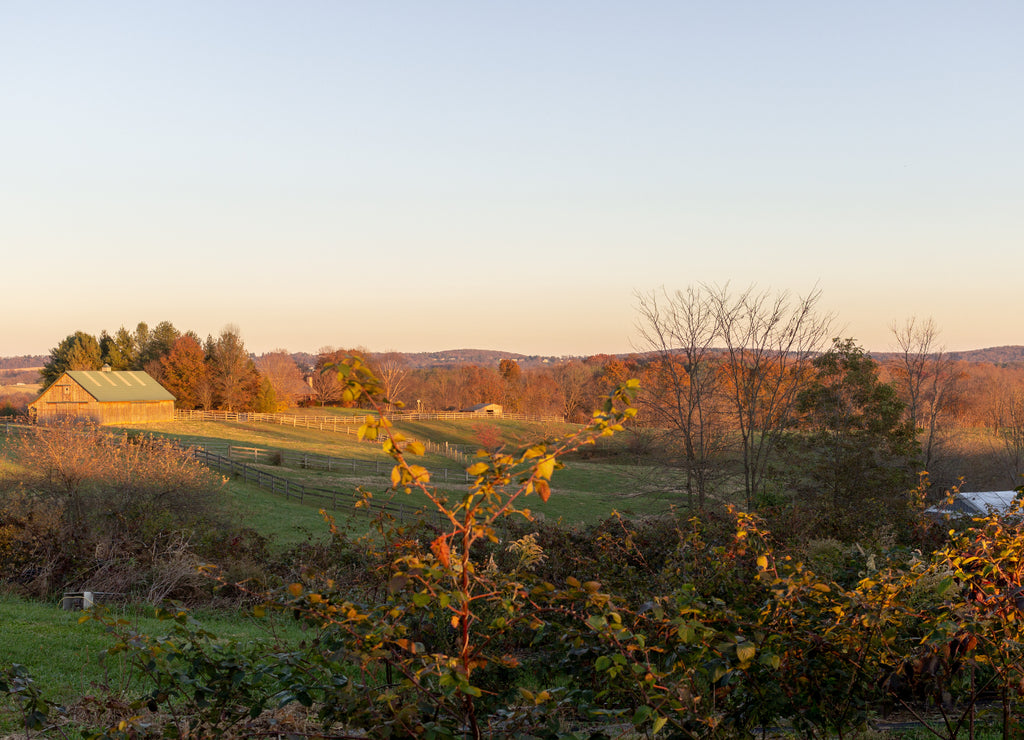 Rural Frederick County Maryland Landscape Farm in Autumn