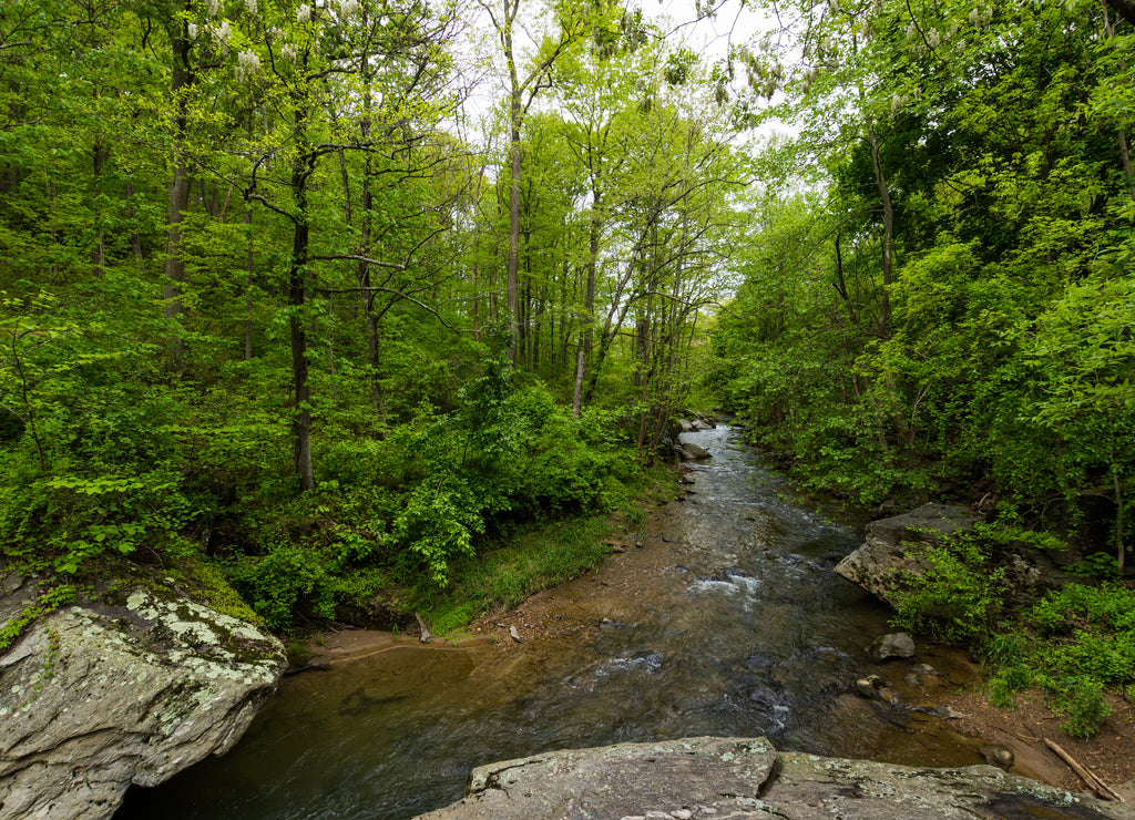 Hiking Through Pretty Boy Reservoir in Hartford County, Maryland