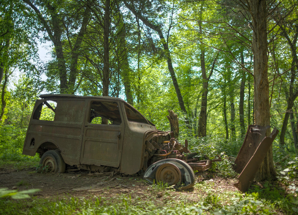 A rusty antique car, abandoned in the forest. Montgomery County, Maryland