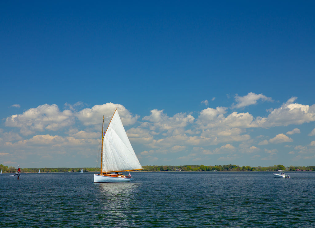 Sailboat on a Chesapeake Bay tributary on the Eastern Shore of Maryland St Michaels Talbot County Mid Atlantic USA
