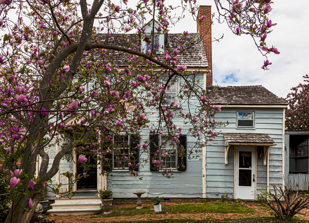 Owned by the Talbot County, Maryland historical society, Miss Mary Jenkins house (circa 1783) is the oldest frame house in Easton. It is open to visitors with its beautiful gardens