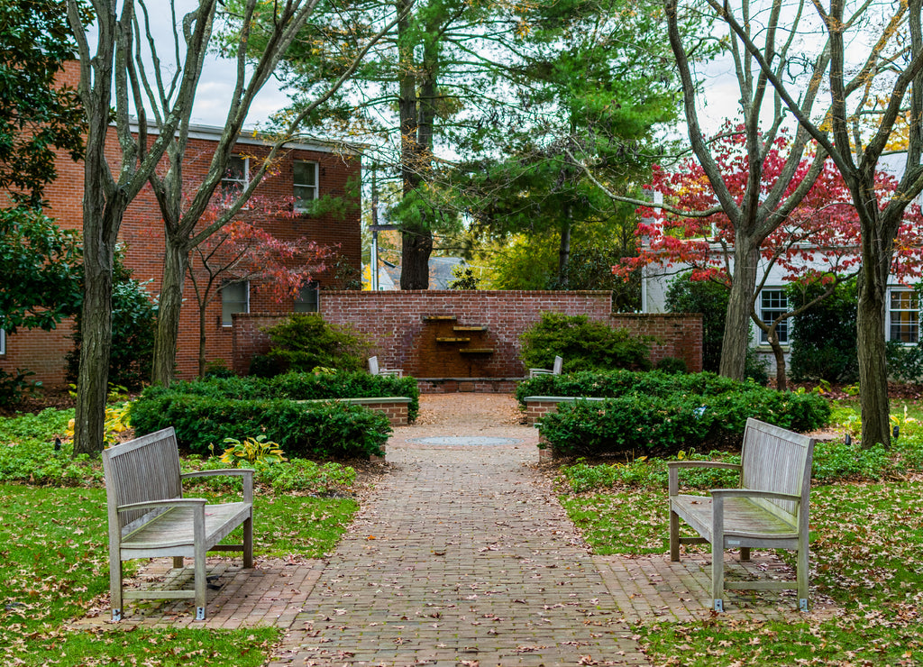 Downtown Easton during high Autumn Color in Maryland