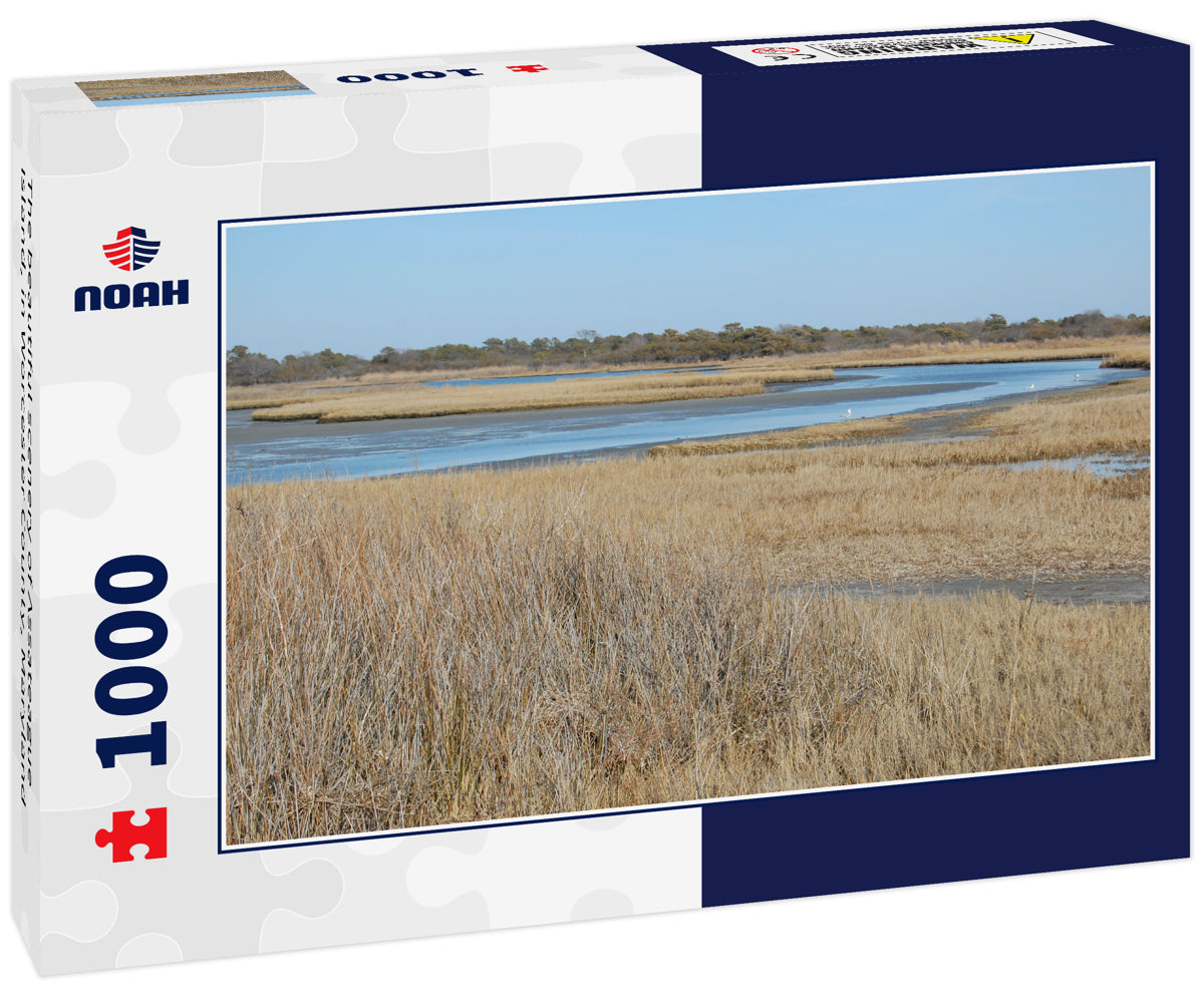 The beautiful scenery of Assateague Island, in Worcester County, Maryland