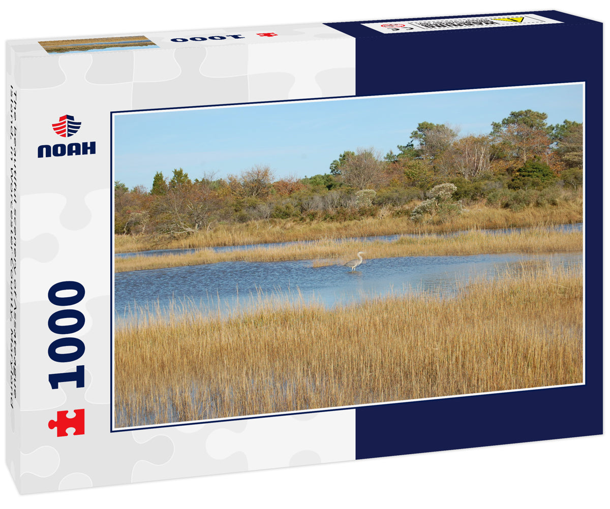 The beautiful scenery of Assateague Island, in Worcester County, Maryland
