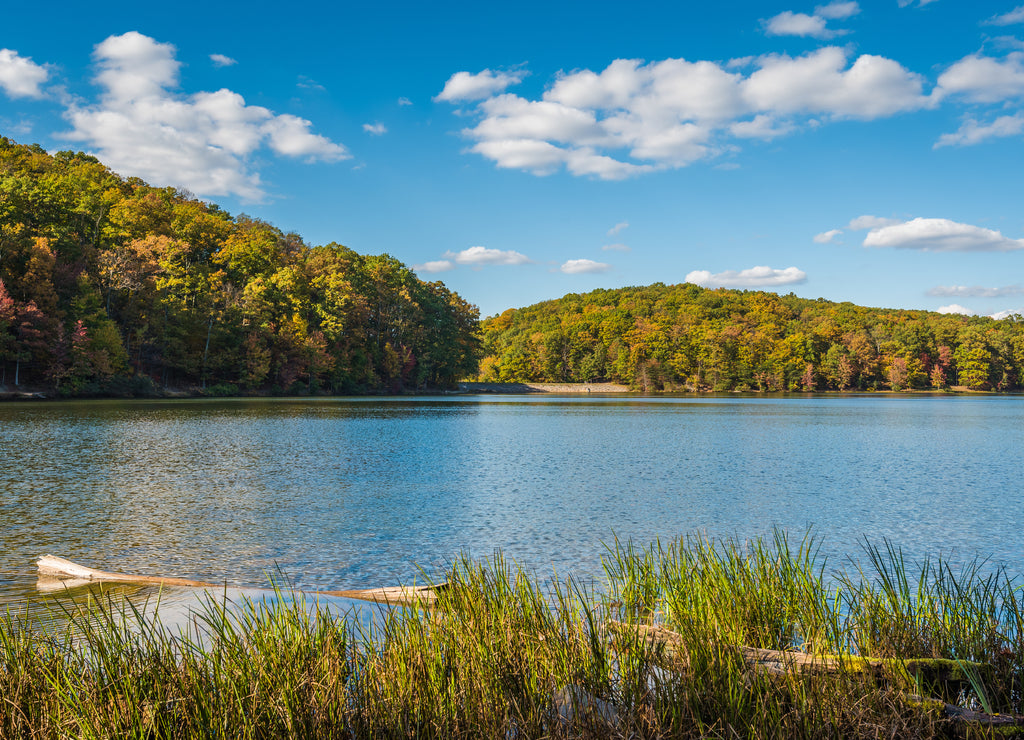 Early autumn color at Greenbrier Lake, at Greenbrier State Park in Maryland