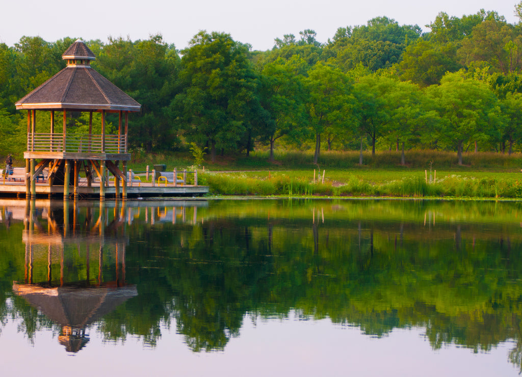 Reflections of trees and a boardwalk in Lake Artemesia, College Park, Maryland