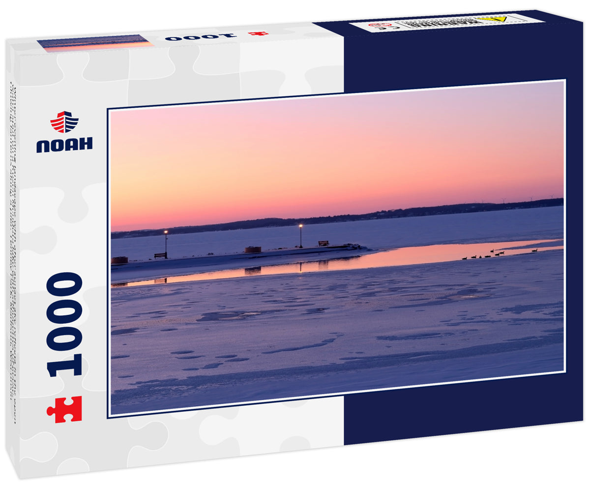 Winter evening landscape with after sunset sky reflects in the open water spot on a frozen Mendota lake with silhouettes of geese. Glowing lanterns along a pier. Tenney Park, Madison, Wisconsin