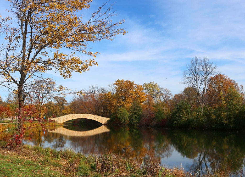 Beautiful fall landscape with a bridge in the city park. Colored trees and bridge in sunlight reflected in the water. Tenney Park, Madison, Midwest USA, Wisconsin