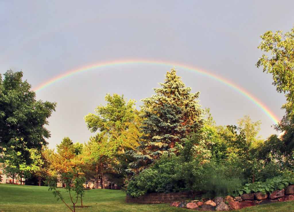 Summer landscape with private house backyard.Scenic view with rainbow over the lawn and trees on a back yard in the private houses neighborhood. Summer time background. Midwest USA, Wisconsin, Madison