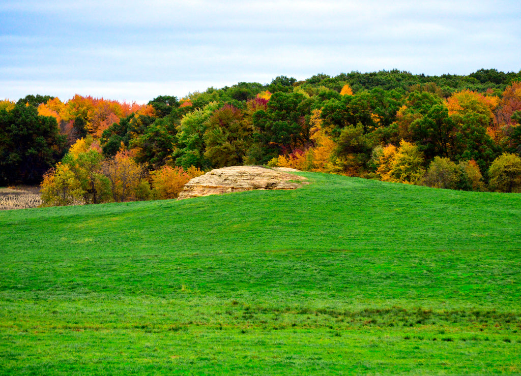 Autumn Foliage in Rural Wisconsin