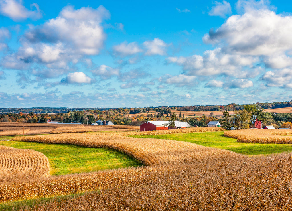 Fall Corn fields Baraboo Hills Wisconsin