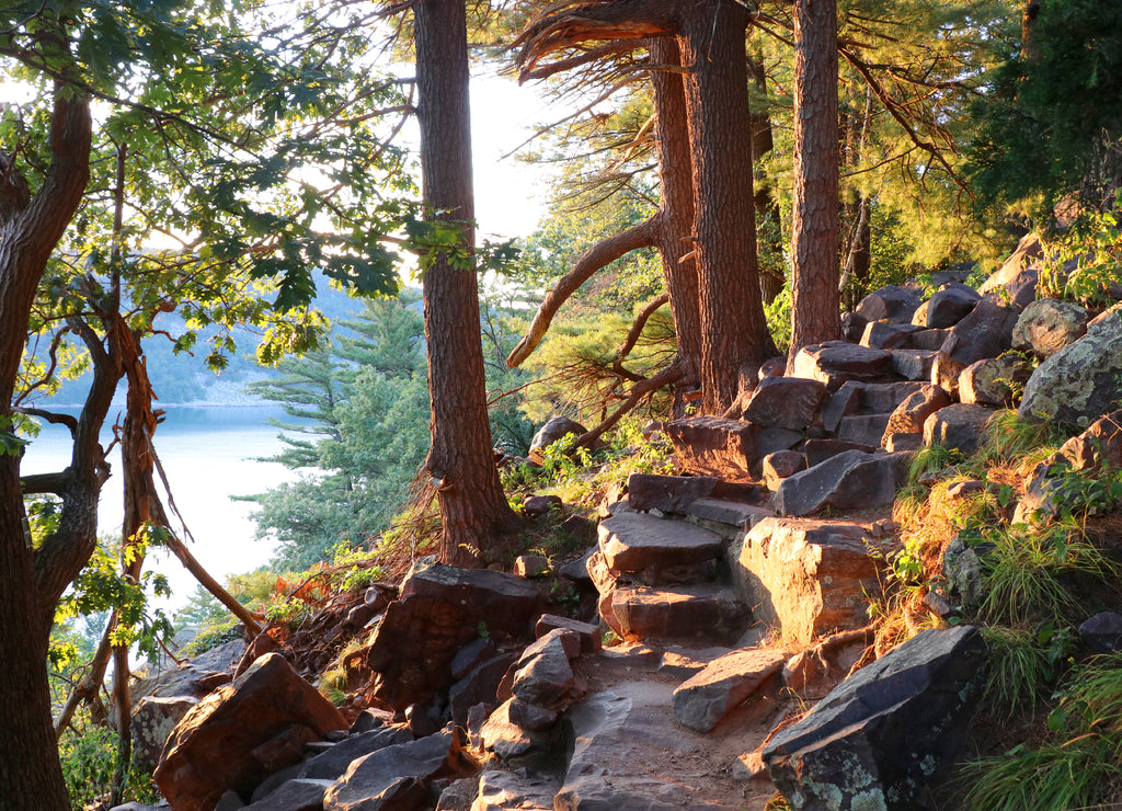 Beautiful Wisconsin summer nature background. Ice age hiking trail and stone stairs in sunlight during sunset hours. Devil'?s Lake State Park, Baraboo area, Wisconsin, Midwest USA