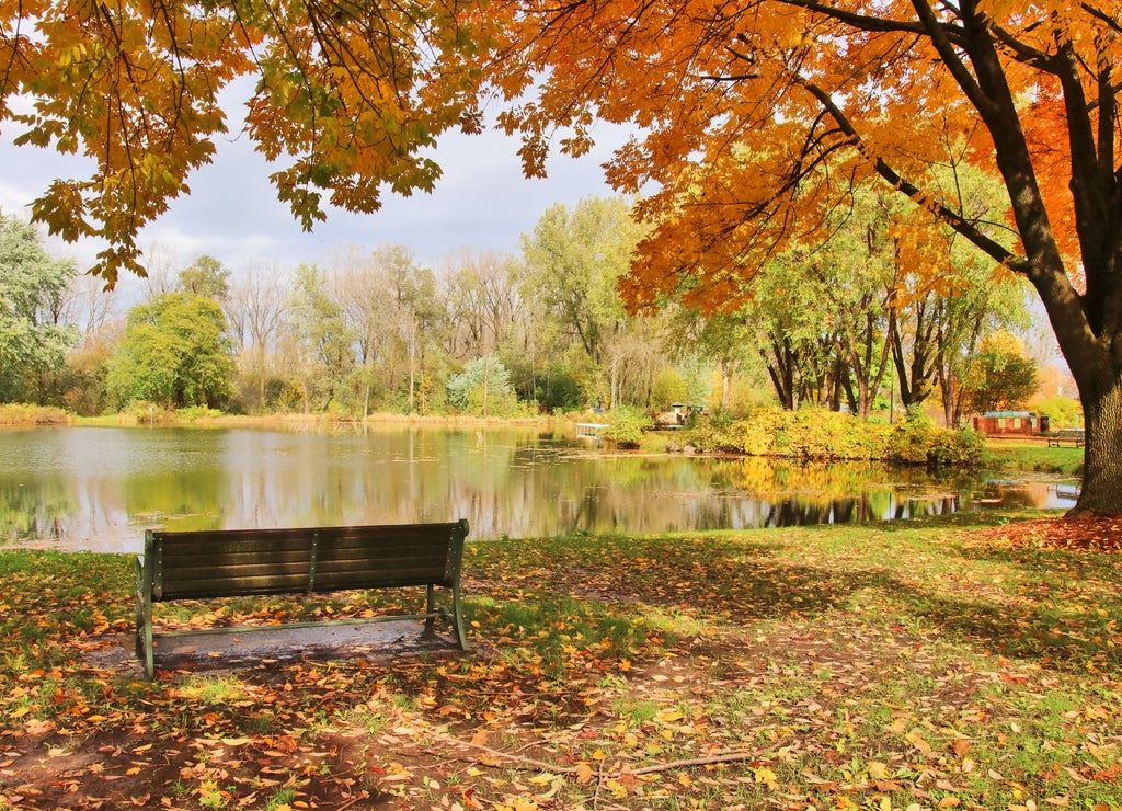 Midwest nature background with park view. Beautiful autumn landscape with colorful trees around the pond and bench in a city park. Lakeview park, Middleton, Madison area, Wisconsin, USA