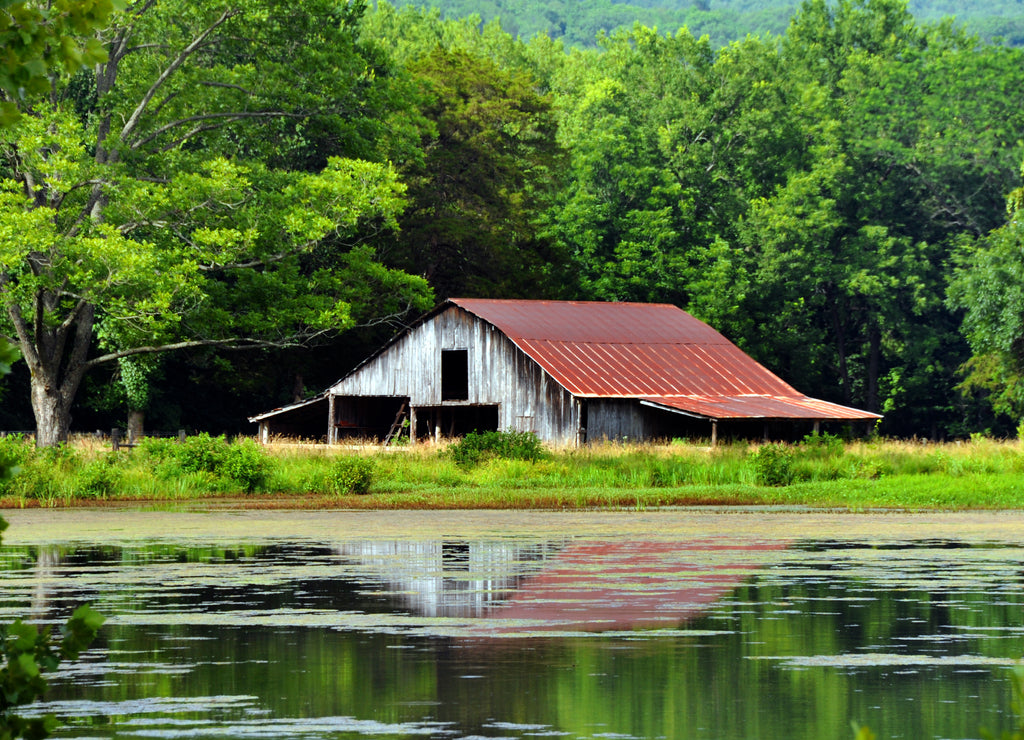 Arkansas Ozark's Rustic Barn