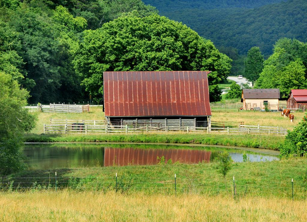 Arkansas Backroad and Barn