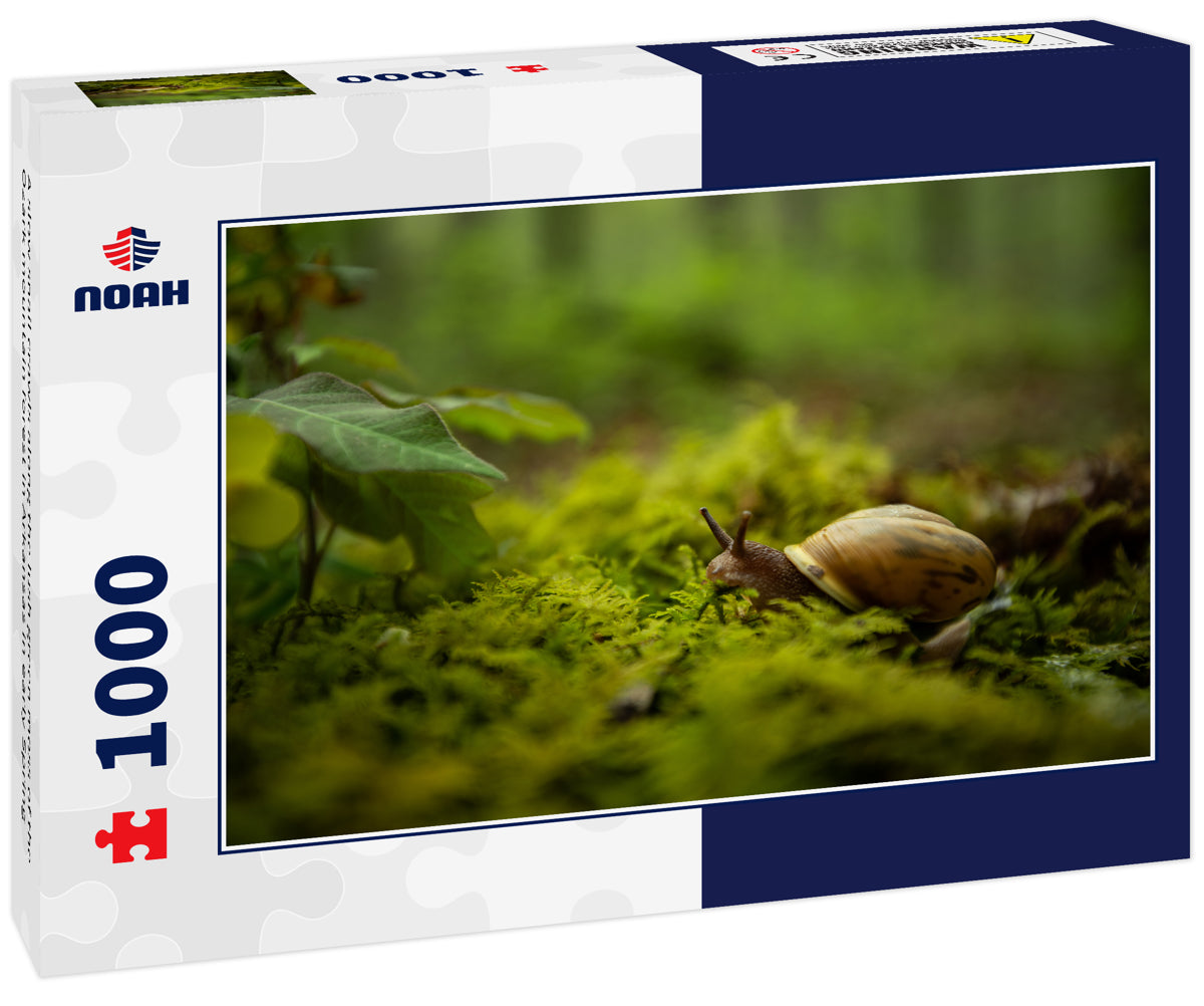 A slow snail crawls along the lush green moss of the Ozark mountain forest in Arkansas in early Spring