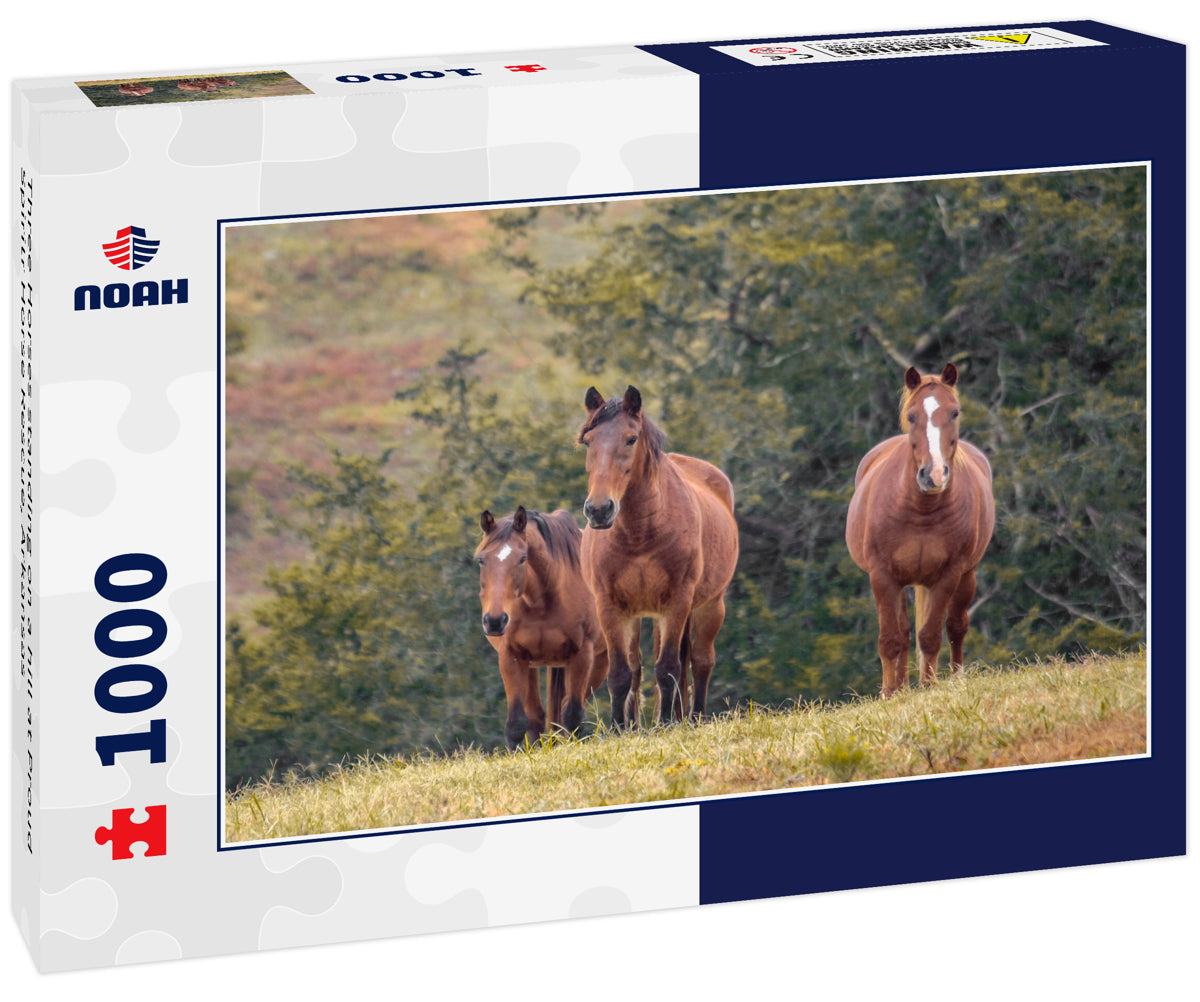 Three Horses standing on a hill at Proud Spiritr Horse Rescue, Arkansas